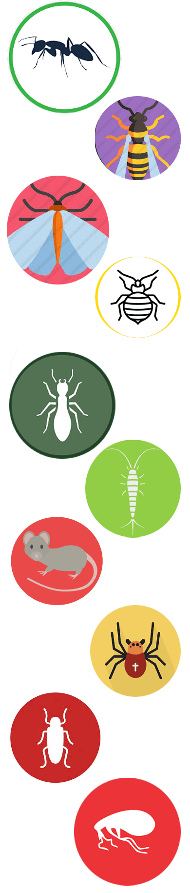 Best Pest Control Hawthorn, VIC 3122